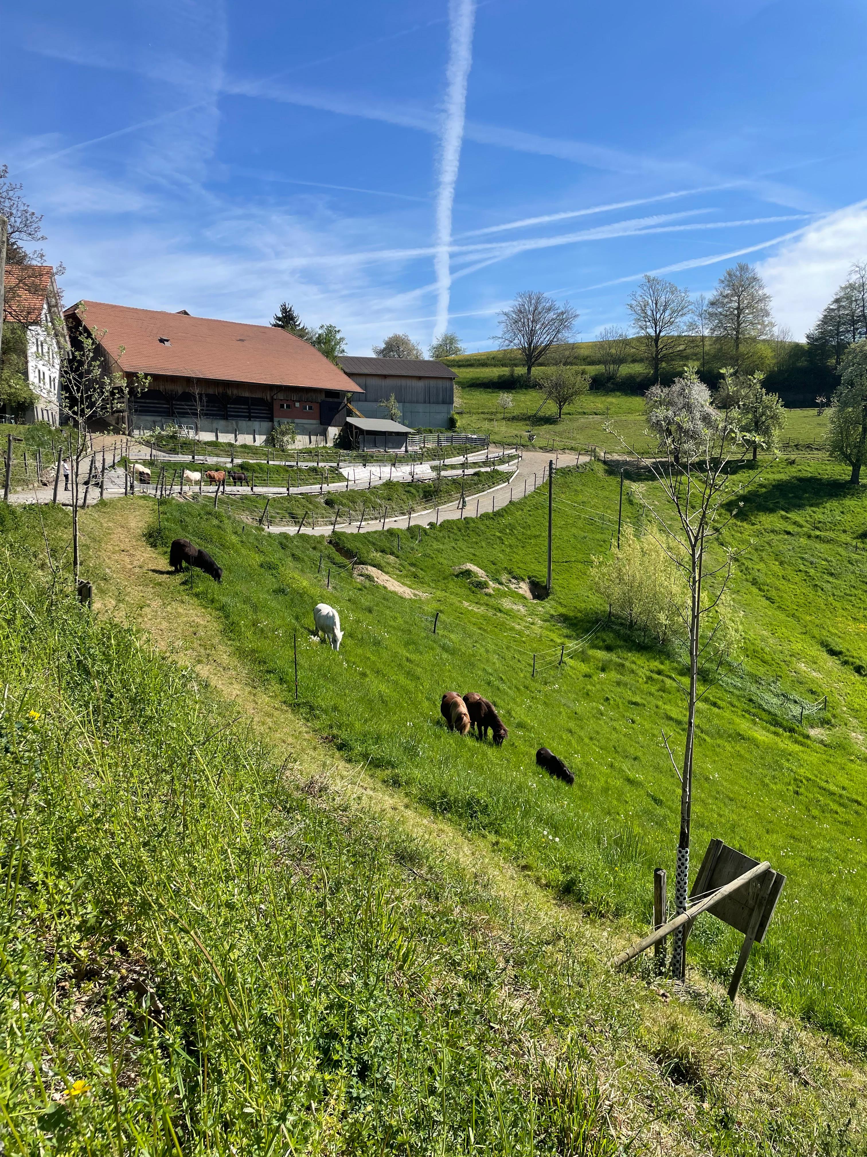 Rosenhof AG
